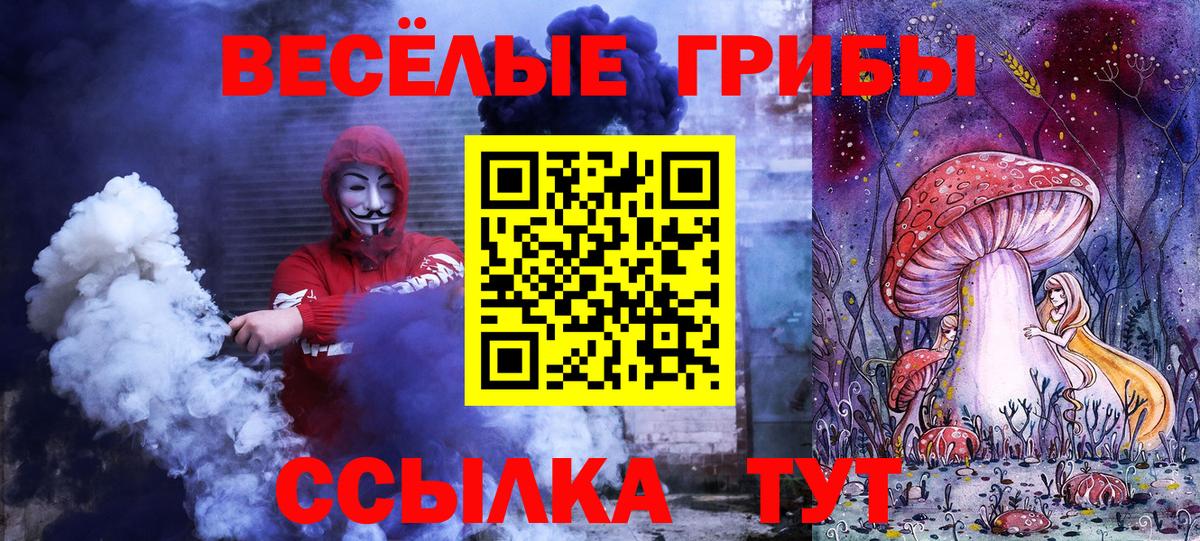 Галлюциногенные грибы Psilocybine cubensis Кыштым