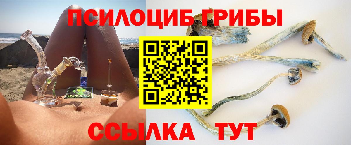 Кыштым  хочу наркоту  Вход с VPN  Галлюциногенные грибы мухоморы 